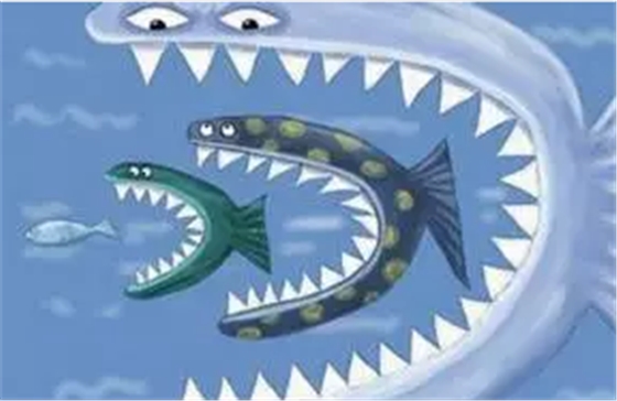 大魚(yú).png 大魚(yú).png